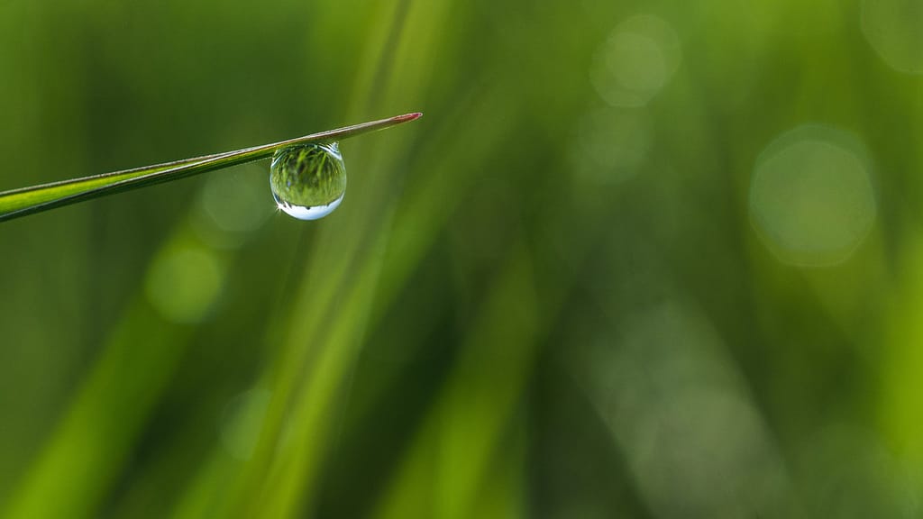 Close-up of a water droplet on a green leaf representing smart irrigation, water efficiency, and sustainable resource management