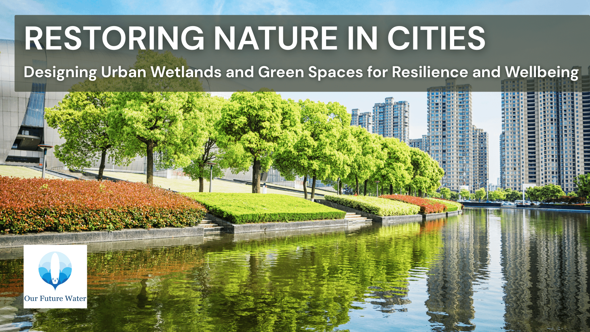 Urban wetland and green park integrated into a city landscape, illustrating nature-based solutions for resilient and liveable cities.