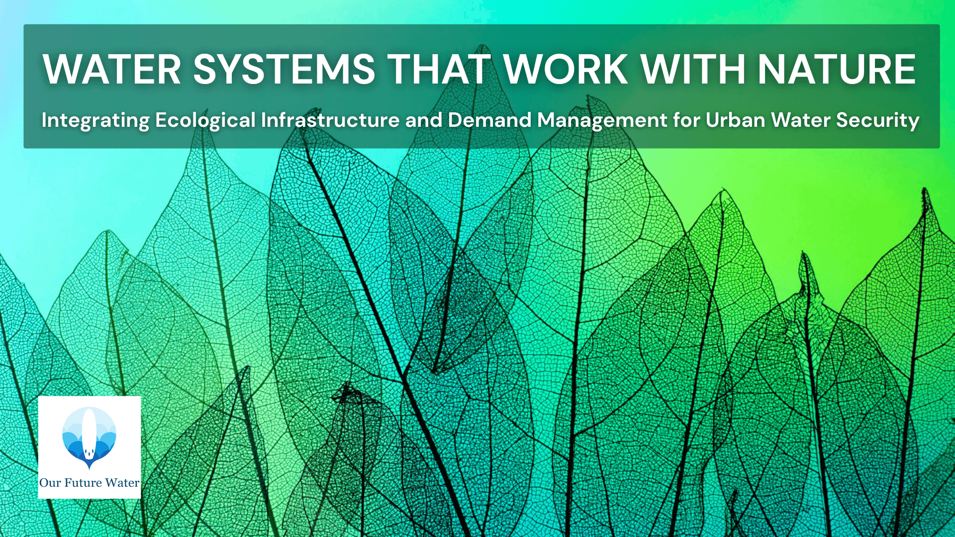 Nature-based water systems illustrating ecological infrastructure and demand management for urban water security.