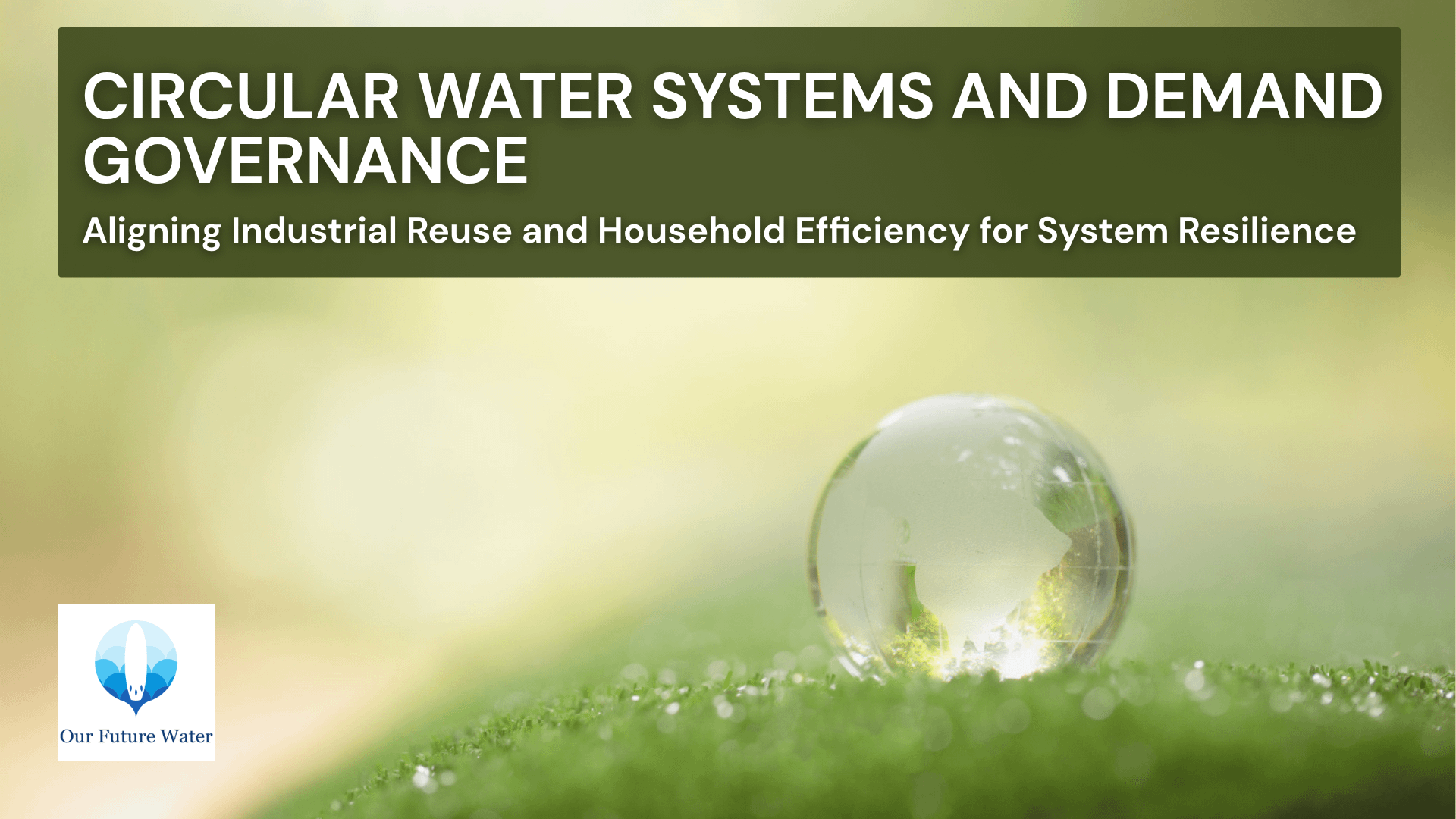 Glass globe on green grass symbolizing circular water systems, sustainability, and integrated resource management