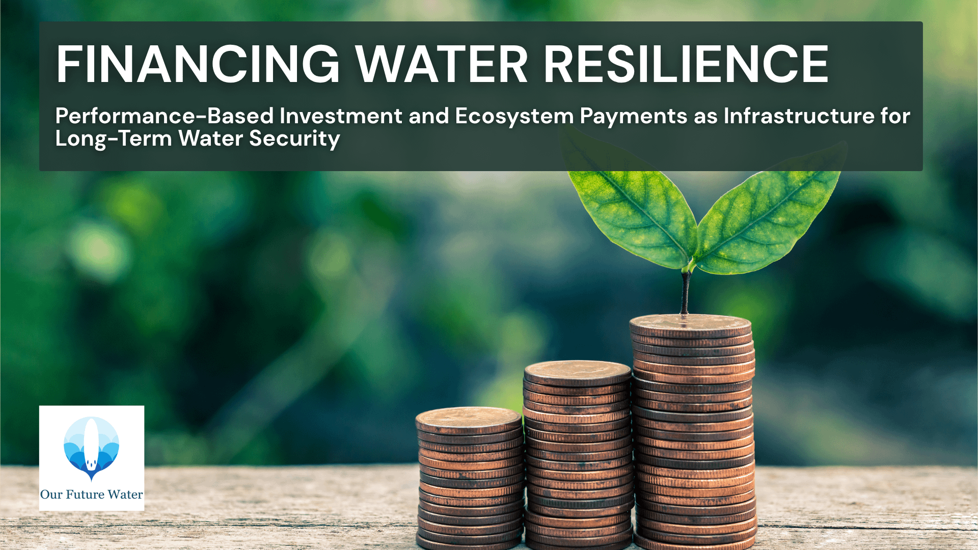 Stacked coins with a green plant representing sustainable finance, environmental investment, and water resilience