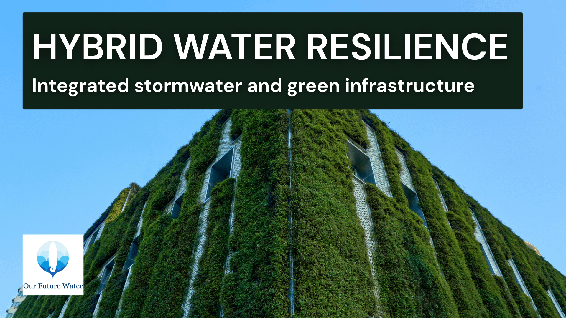 Urban building covered in vertical green vegetation demonstrating Nature-Based Solutions and green-grey infrastructure for stormwater resilience.